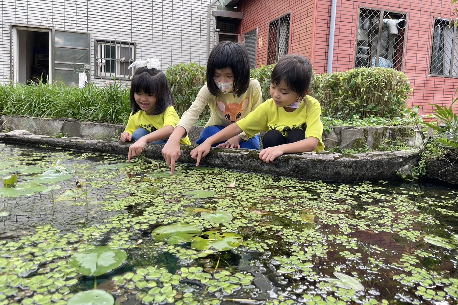 學生利用下課時間整理生態池、移除外來植物