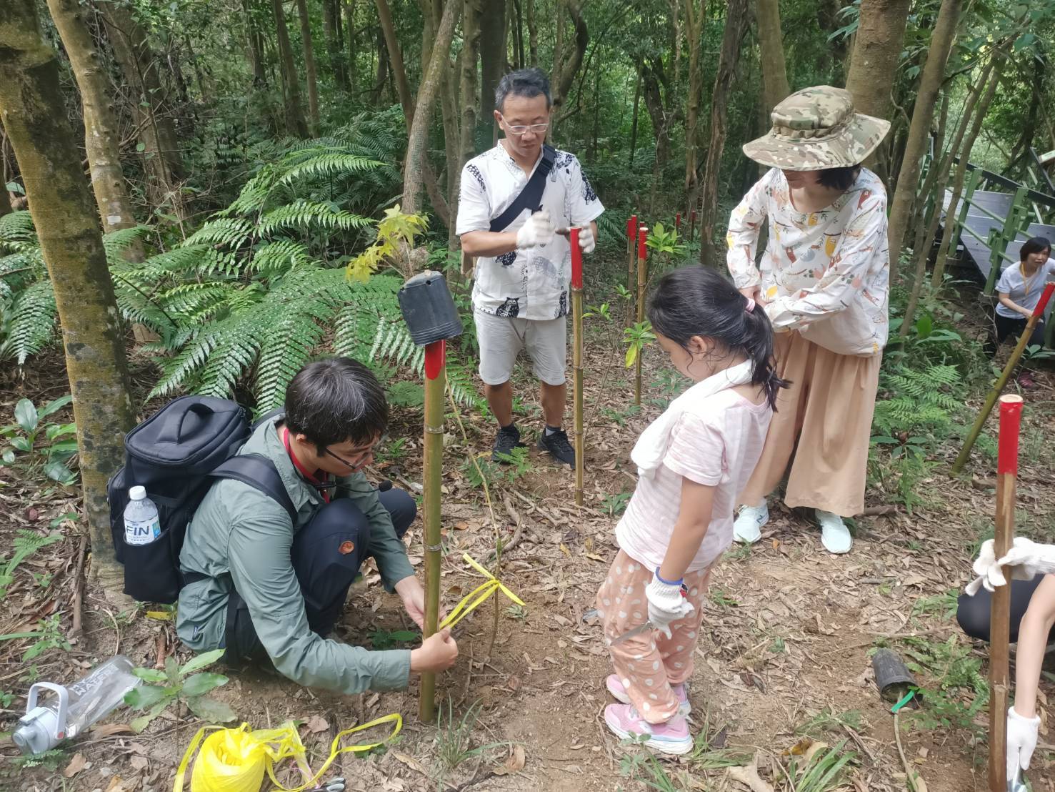 在地居民種下樹苗