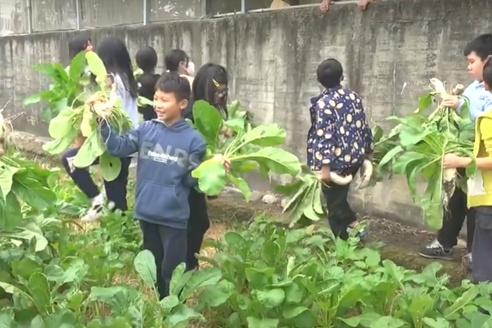 北投國小學生受邀至社區農田拔蘿蔔