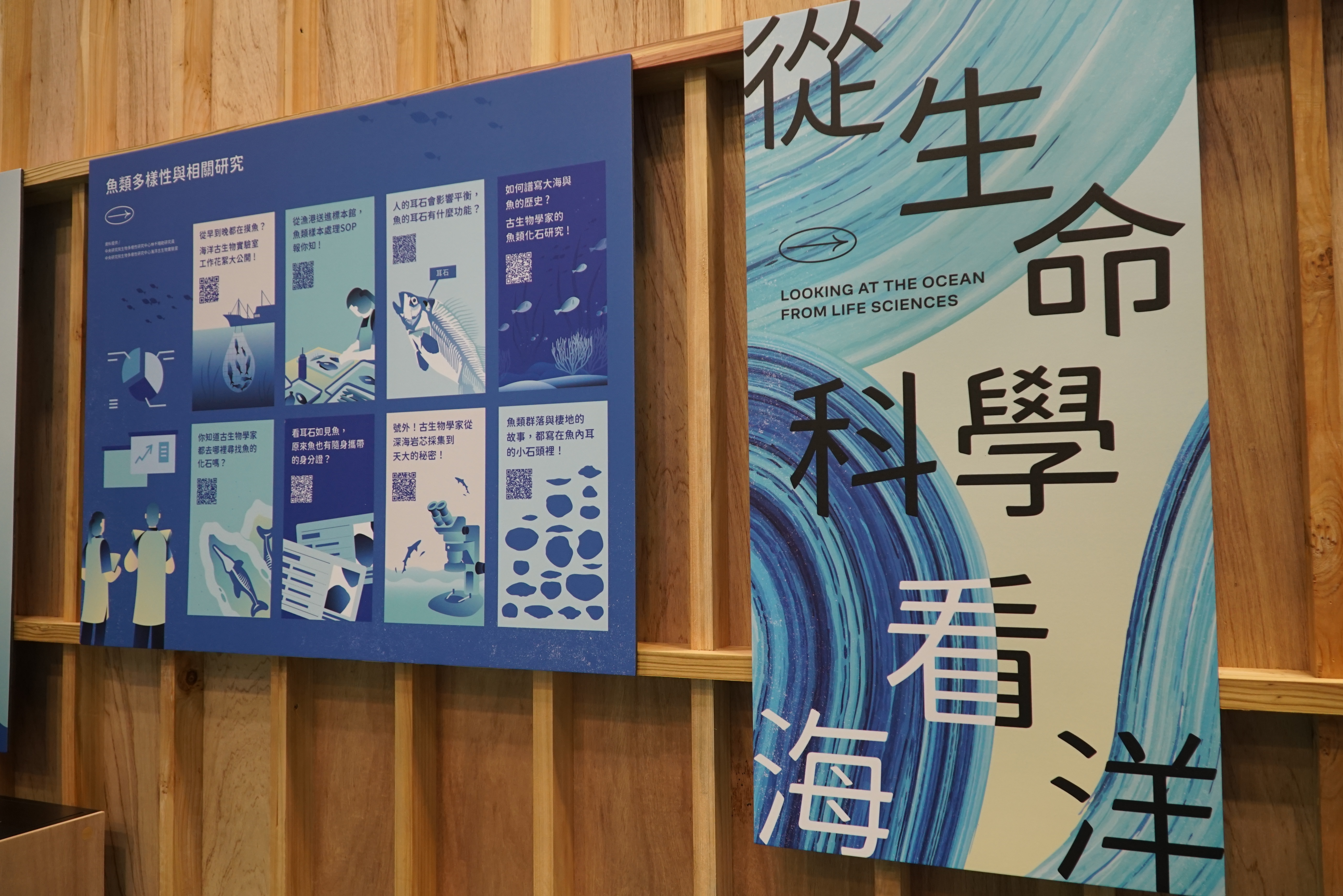 中研院「海灘拾貝」展位，從生命科學看海洋展區。(中研院提供)