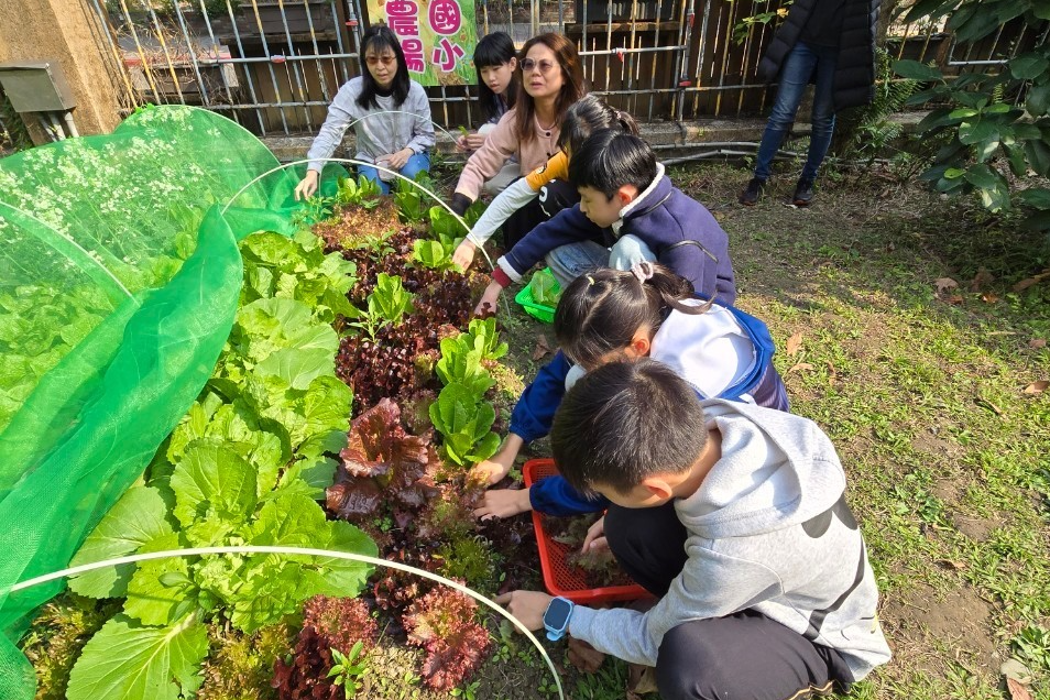 北市南門國小學生開心收成小田園蔬菜