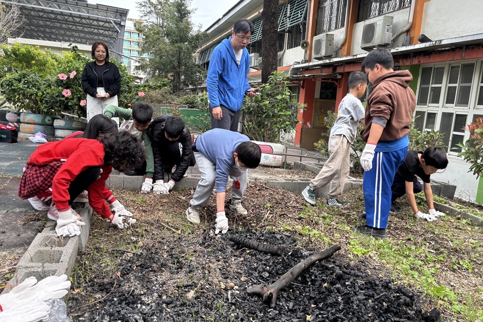 臺東縣太麻里鄉大王國小與農業部臺東區農業改良場合作規劃食農教育課程，邀請百大青農擔任講師，藉由小米脫粒及實際播種耕作，拉近學生對小米與農耕的距離。