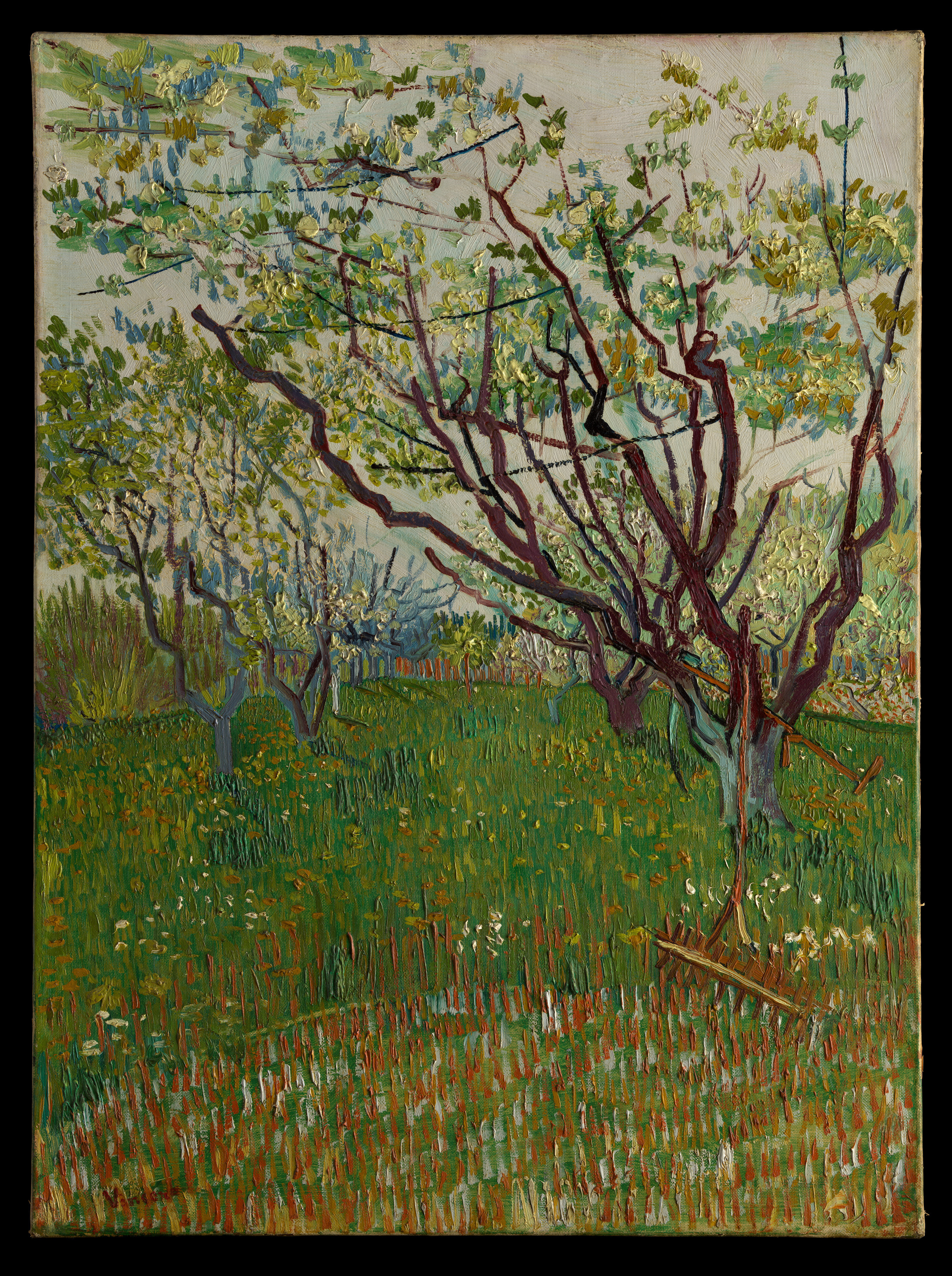 文森梵谷_花朵盛開的果園_1888 _圖© The Metropolitan Museum of Art_4_Vincent Van Gogh_The Flowering Orchard_imageimage© The Metropolitan Museum of Art