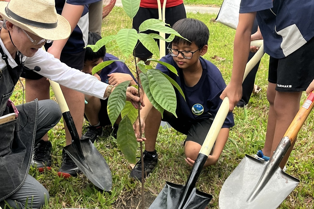 為屏東可可種下希望