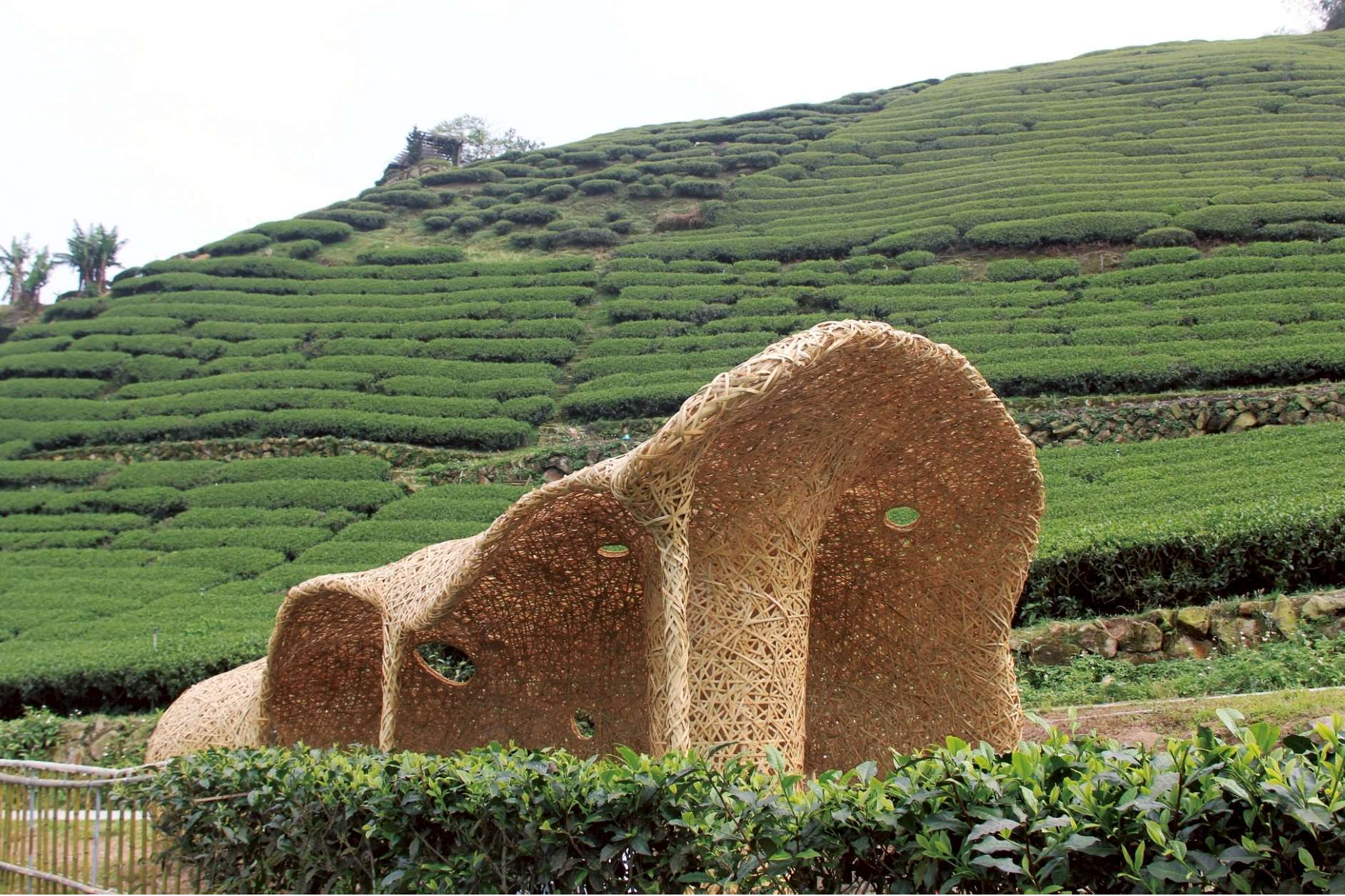 竹製裝置藝術作品「殼」（圖源：雲林縣政府）