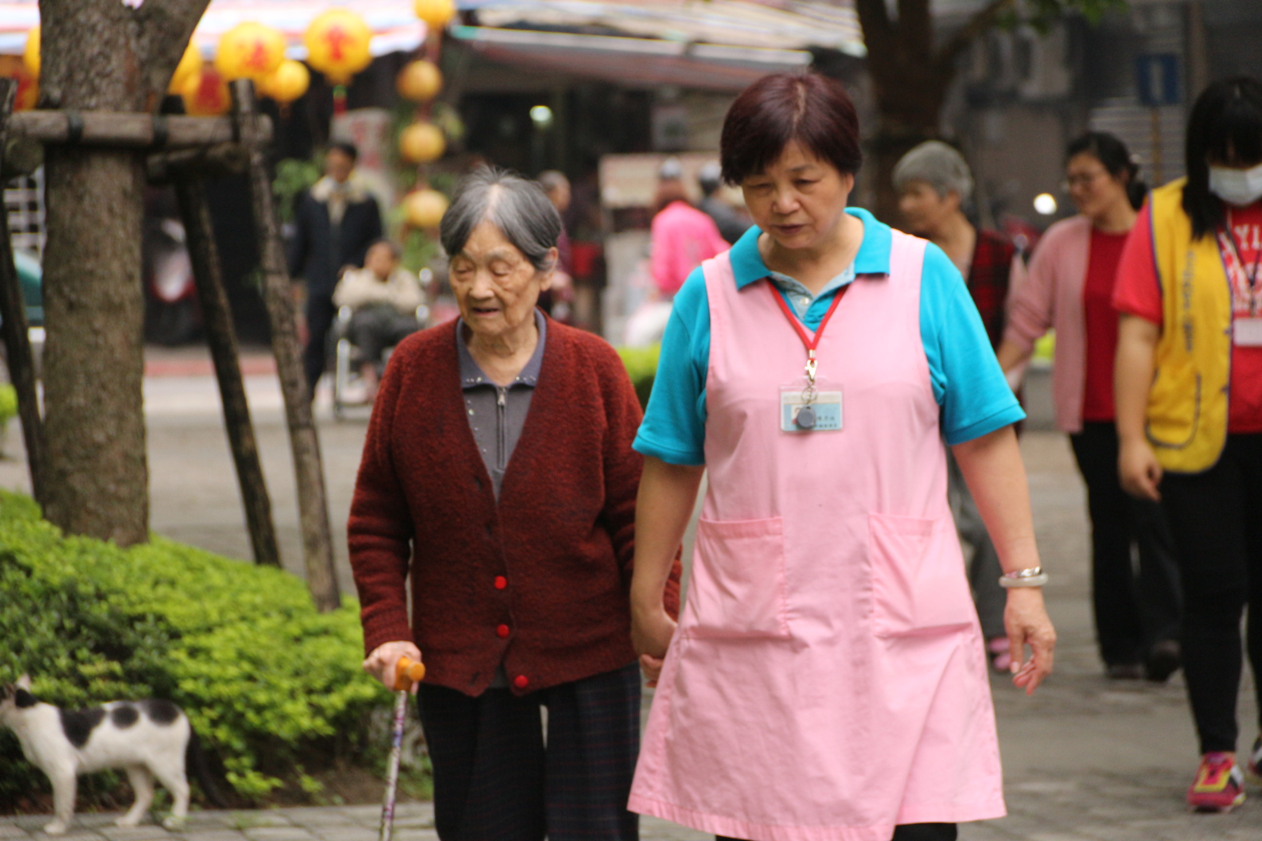 照服員以專業陪伴照顧失智長者

