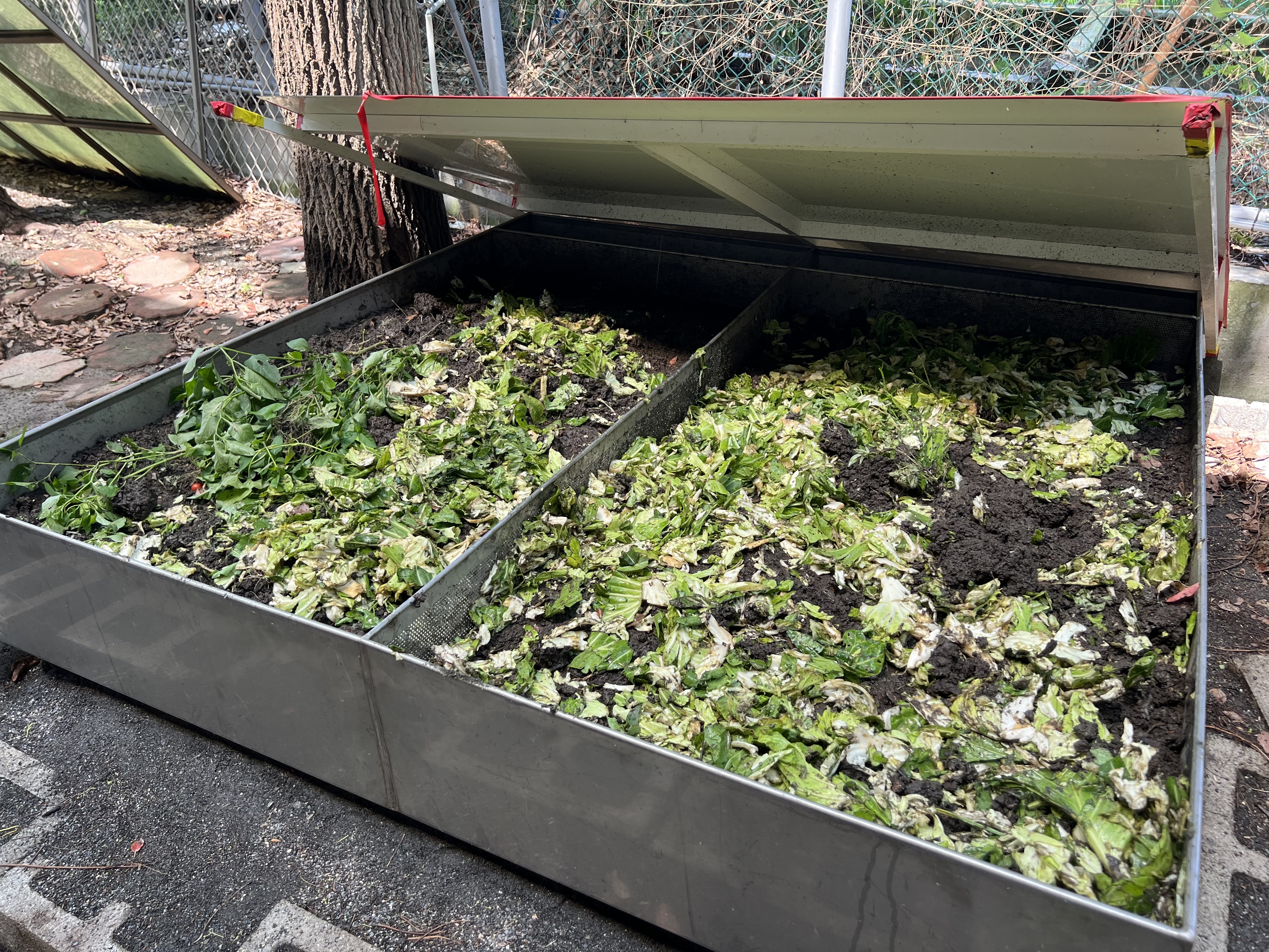 隨著蚯蚓變多，文祥國小打造新蚯蚓養殖箱（圖源：文祥國小）