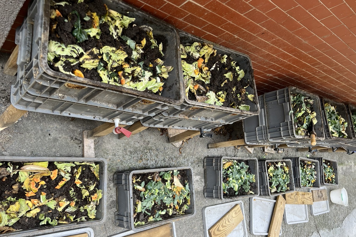 文祥國小的舊蚯蚓養殖箱（圖源：文祥國小）