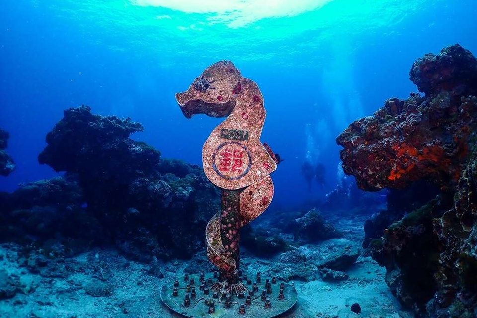 設置在綠島石朗浮潛區離岸60公尺、水下11米深的豆丁海馬郵筒，今年明信片設計與維護統包標案無人投標，現改為分開招標，盼在暑假前完成。(擷取自臺東觀光旅遊網)