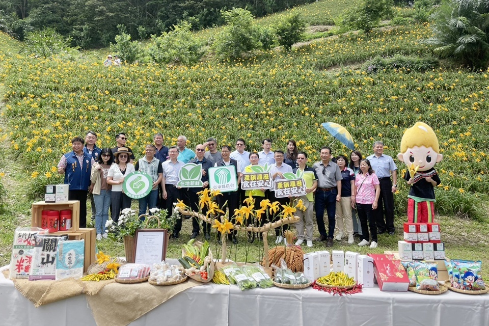 為推廣平地無硫金針與產銷履歷農糧產品，今(21)日農糧署東區分署輔導臺東縣農會於知本天山農場辦理「花語、食旅、天山間」系列推廣活動。