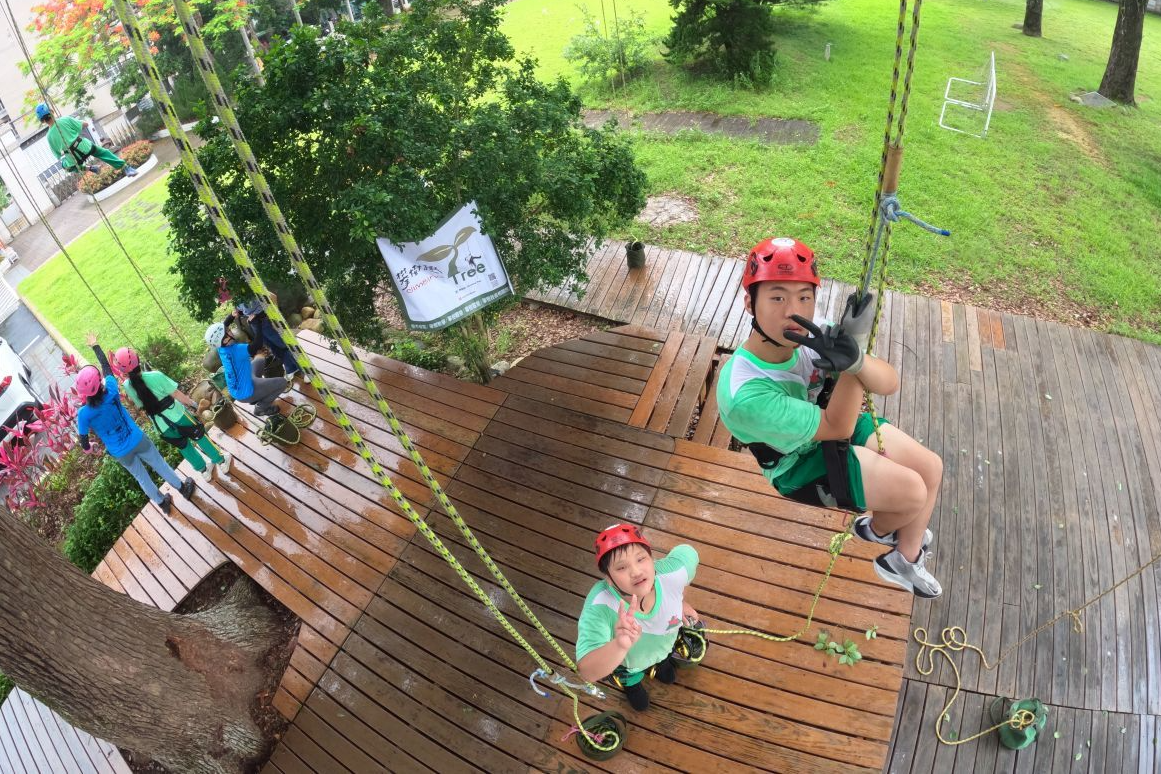 桃園市大溪區內柵國小舉辦畢業攀樹活動