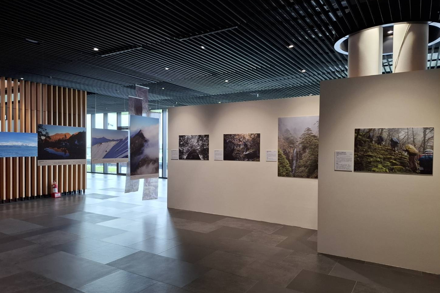 雪羊高山攝影作品