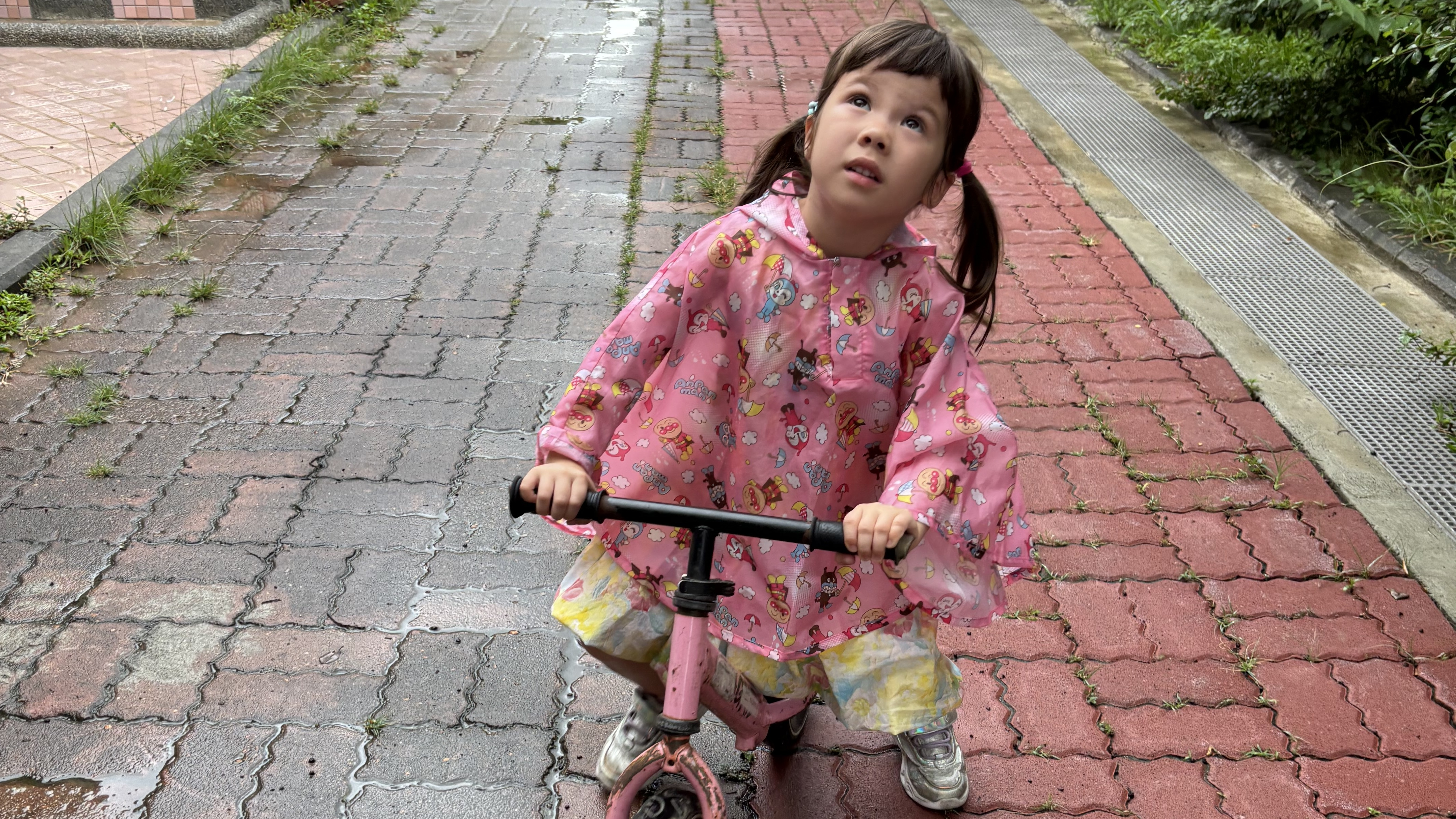 颱風天，趕緊回家做好防颱工作