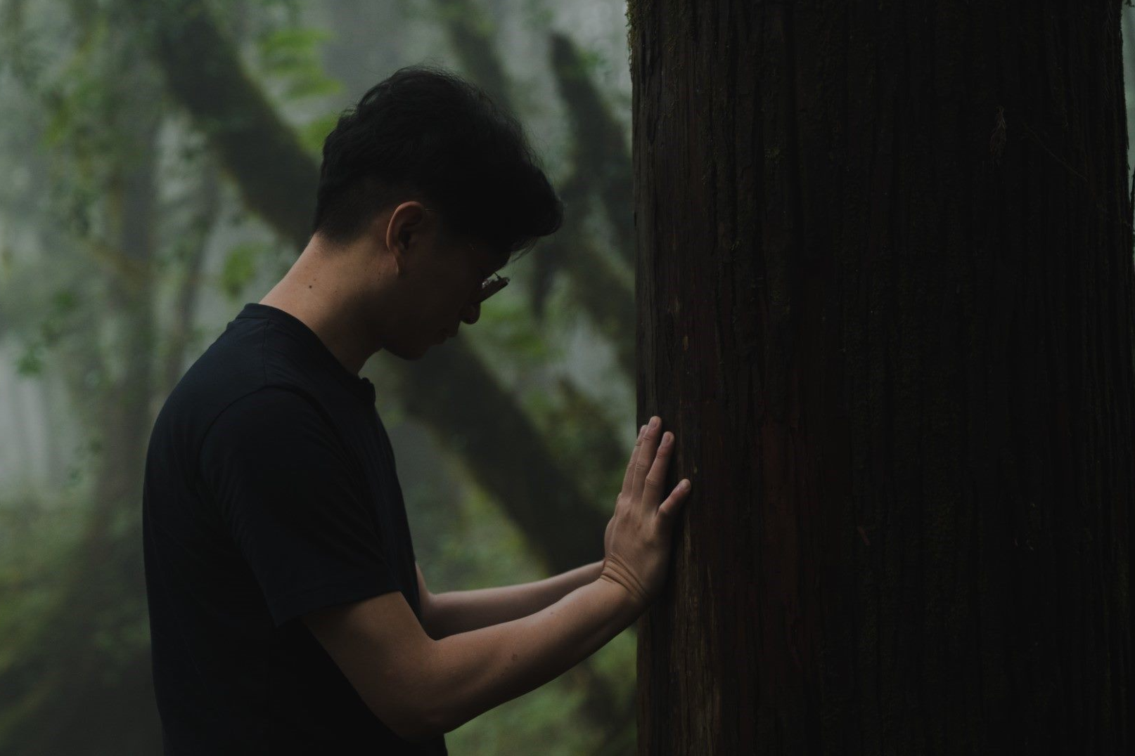 作曲家張玹表示，《23.5°N, 121°E》作品靈感來自於阿里山神木
