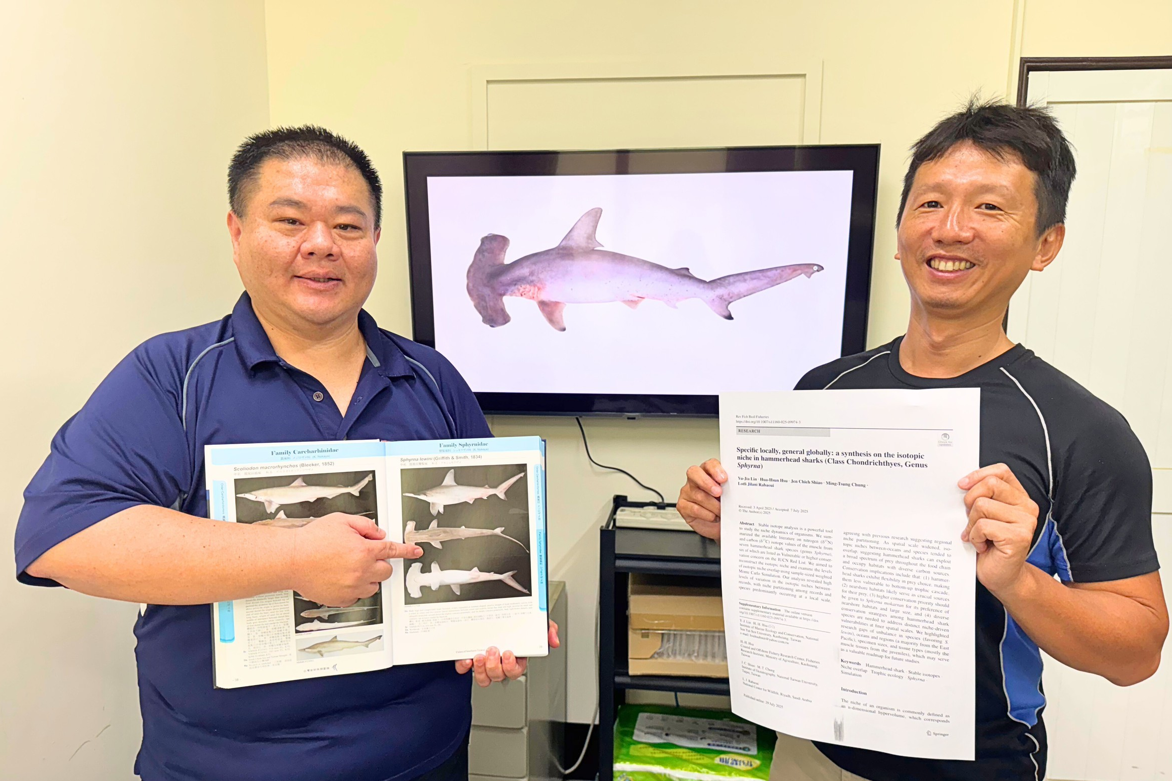 入境隨俗 雙髻鯊有啥吃啥