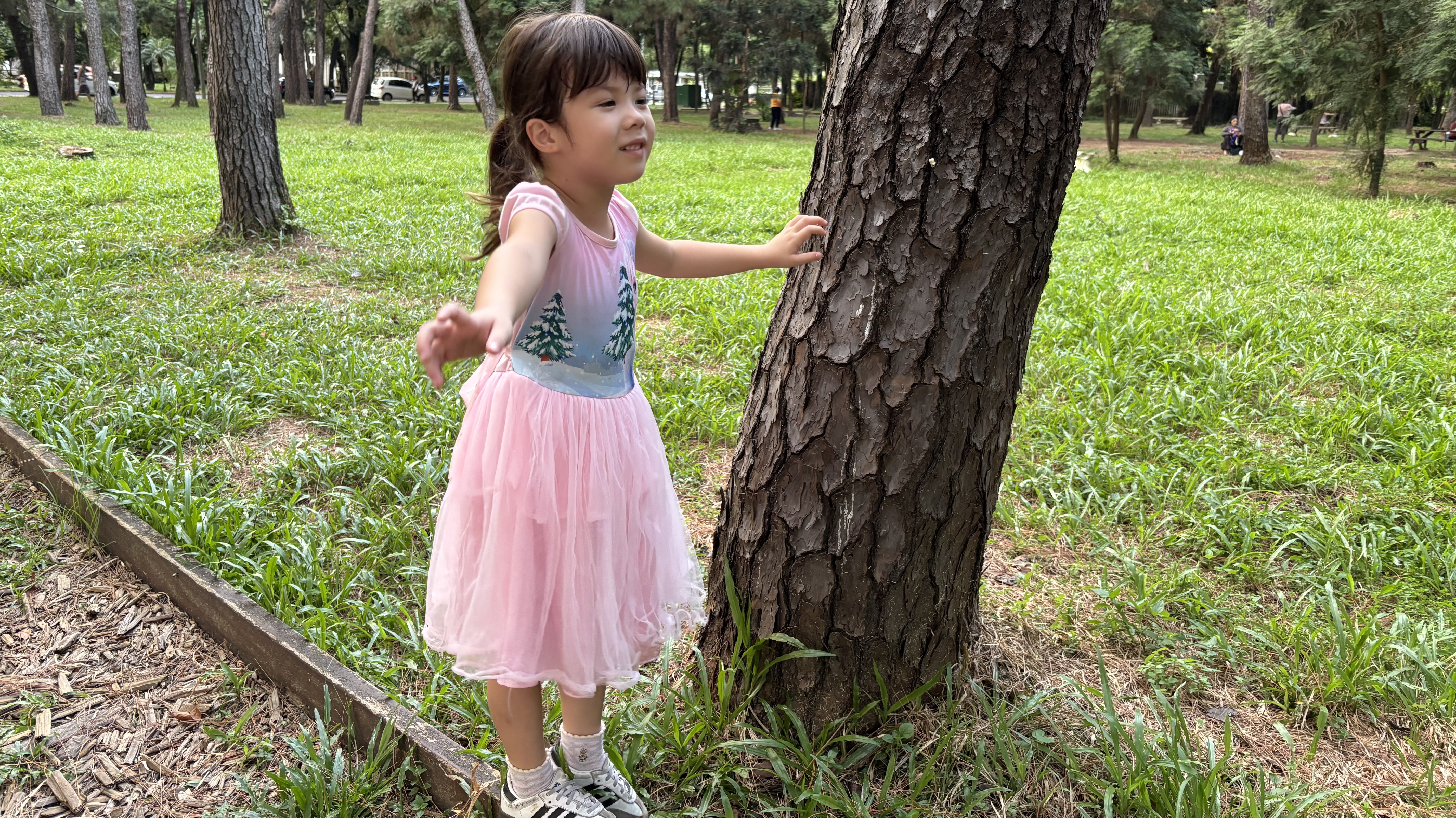 散步中，遇見樹木，連結大自然