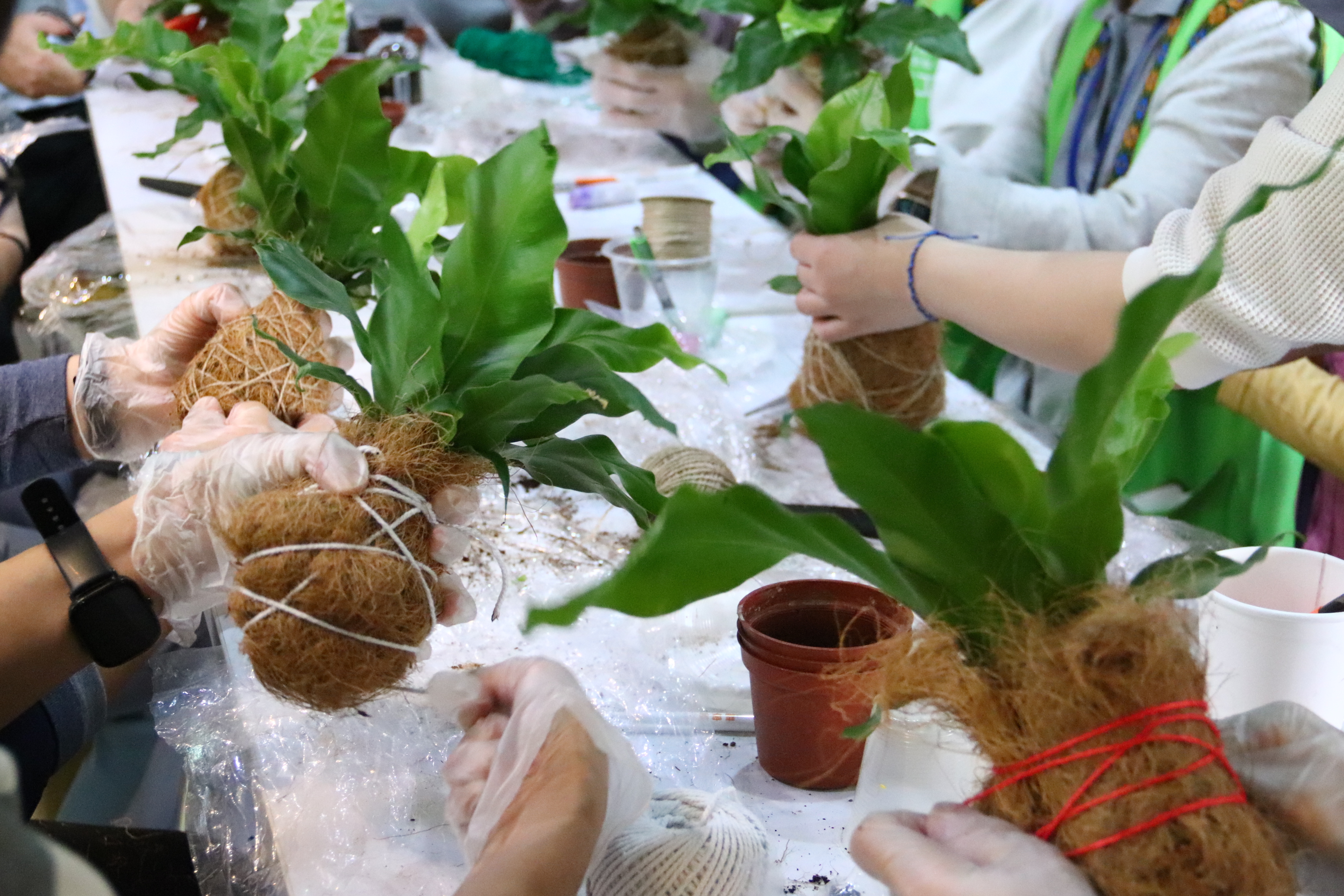 東基「愛‧不止息」家屬關懷會，讓家屬在紙條上寫下對離世親人的想念並包進土裡(台東基督教醫院提供)