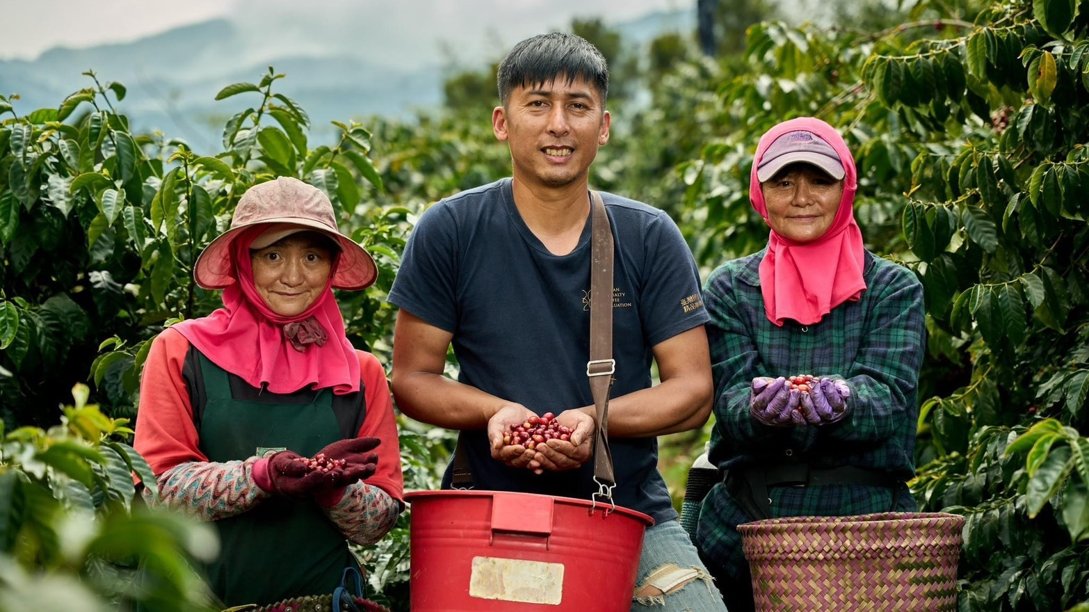 方政倫希望阿里山的青農們可以 一起共好(圖片來源：方政倫提供)