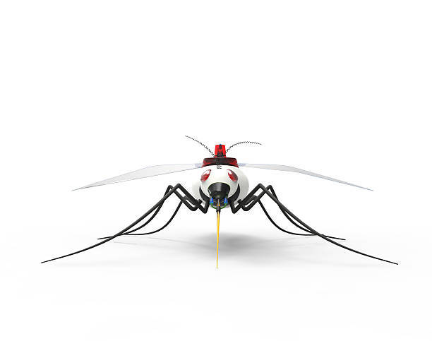 mosquitoe? drone?