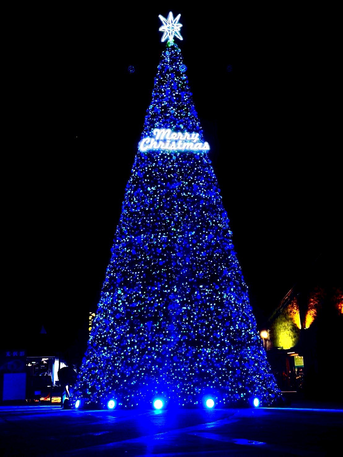 米高聖誔主樹(圖片/宜蘭縣政府文化局提供)