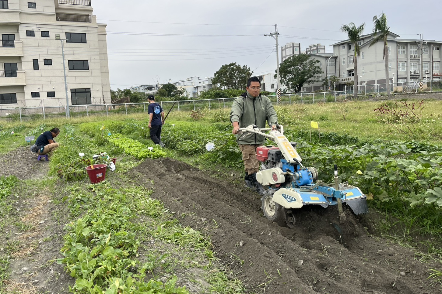 即使天氣變冷，同學們還是很主動的到菜園裡澆水、施肥，為成果展做最後的準備。