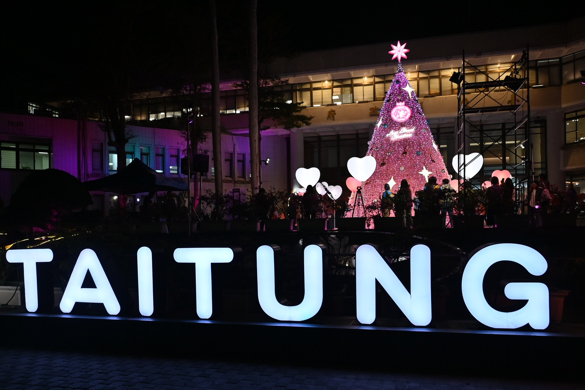 臺東縣政府為廣場上的粉紅色聖誕樹，舉行點燈儀式。