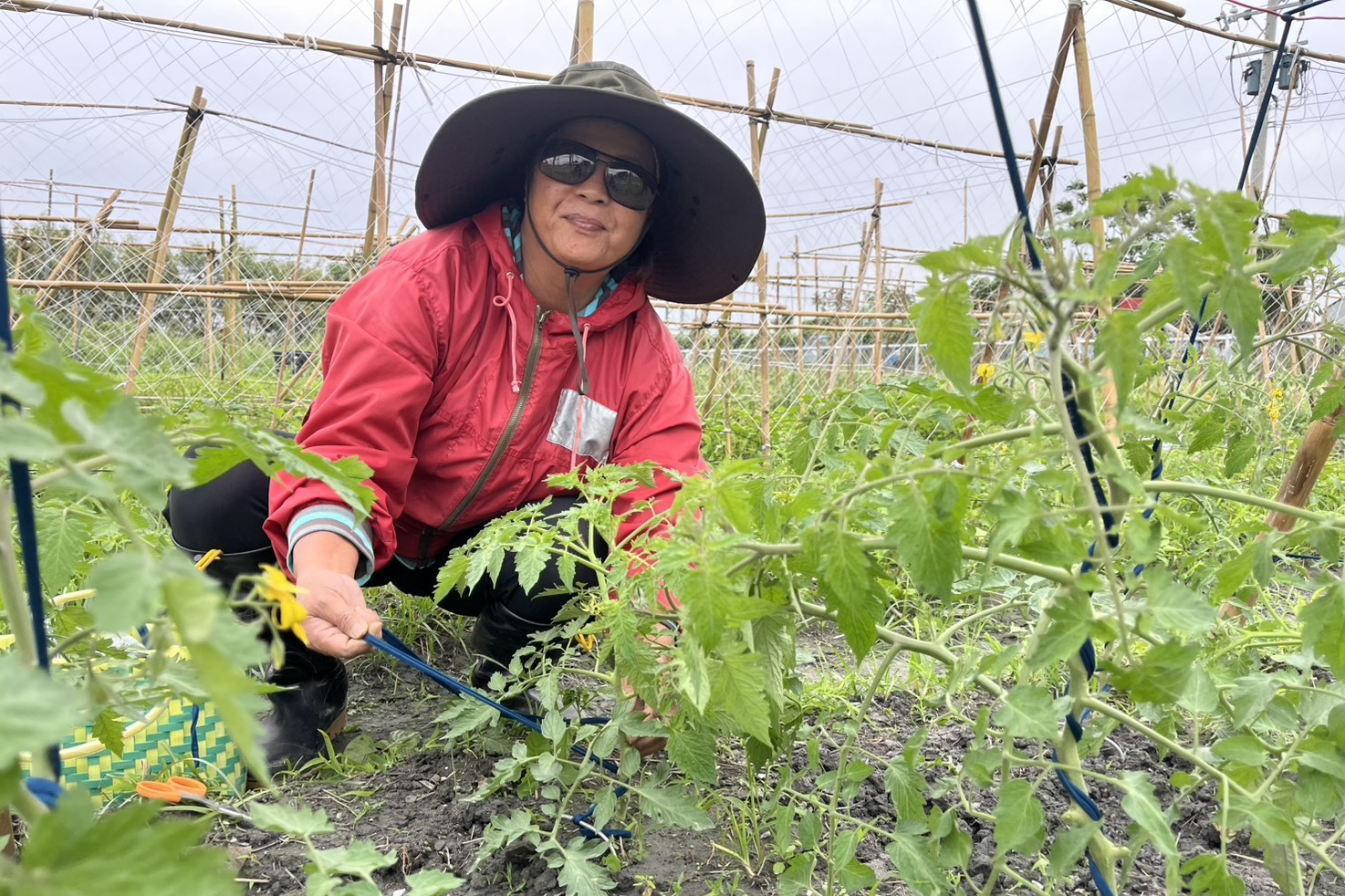 公費班學生林坤燕說，學校的農場裡變成大家非常喜歡來的園地。