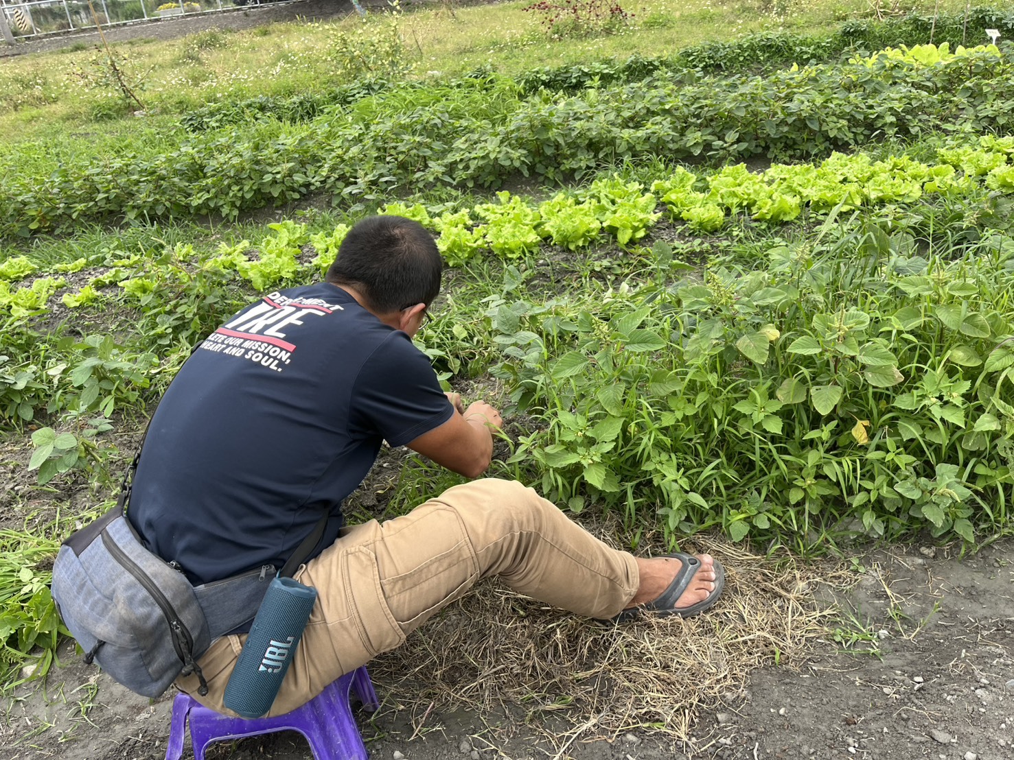 同學們拿著小椅子整理菜園，務農也可以很輕鬆。