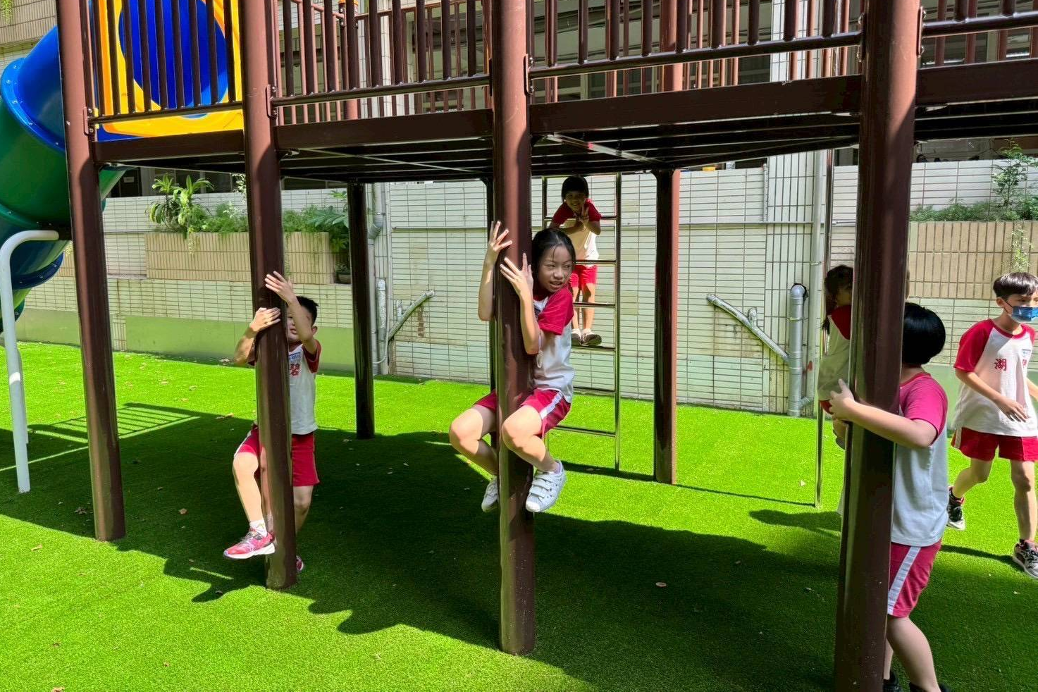 直立式爬竿刺激又有趣