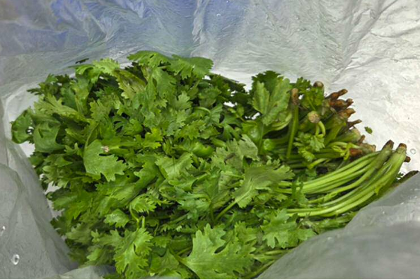 臺北市衛生局執行火鍋料專案抽驗計畫，1件香菜檢出農藥殘留超過容許量