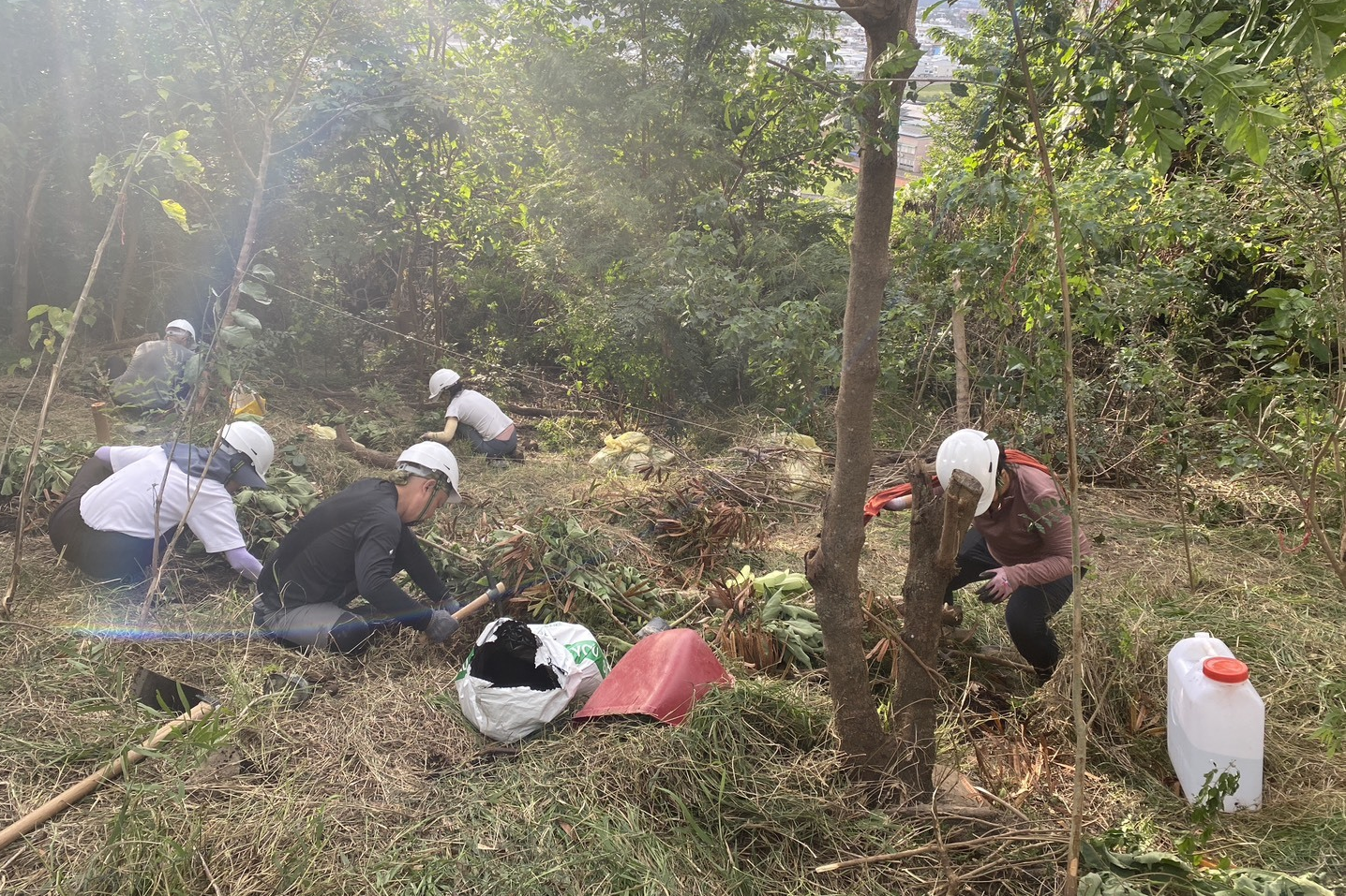 數十位來自各界，關心環境的學員齊聚鯉魚山鯉尾坡地，透過手作等高線植栽床方式，進行退化坡地的植生復育行動。