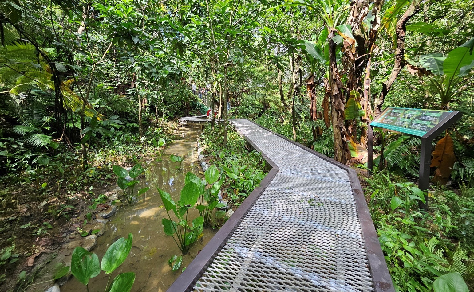 「新北市土城桐花公園景點營造工程」整理既有生態池棲地，建置生態觀察棧道，保留生物棲息空間。