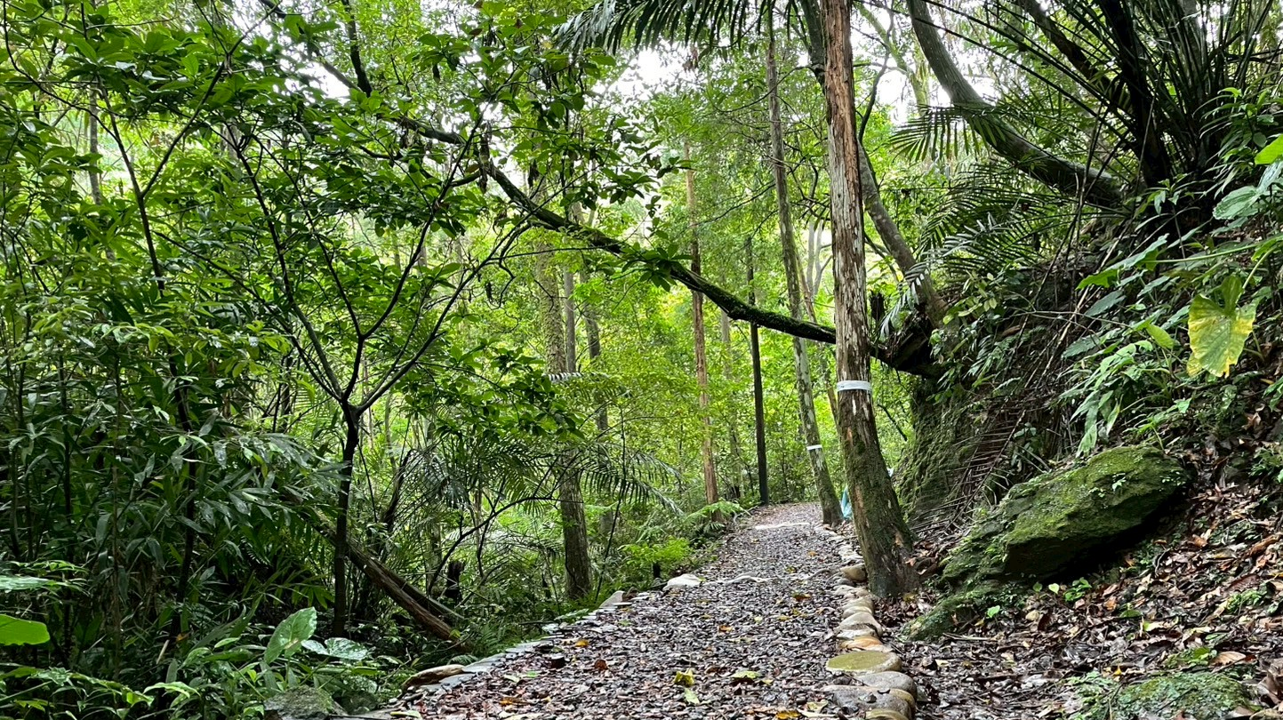 「新北市平溪嶺腳寮-望古觀瀑步道亮點環境營造計畫工程」採用低衝擊開發(LID)工法，打造碎石木屑舖面步道，分段逐層截流方式涵養水資源，減少土石流失與邊坡沖蝕風險。