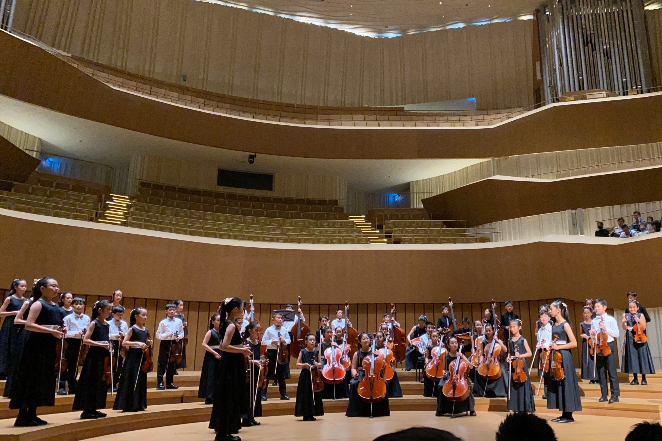 桃園市桃園區青溪國小弦樂團首次踏上衛武營藝術文化中心舞臺演出