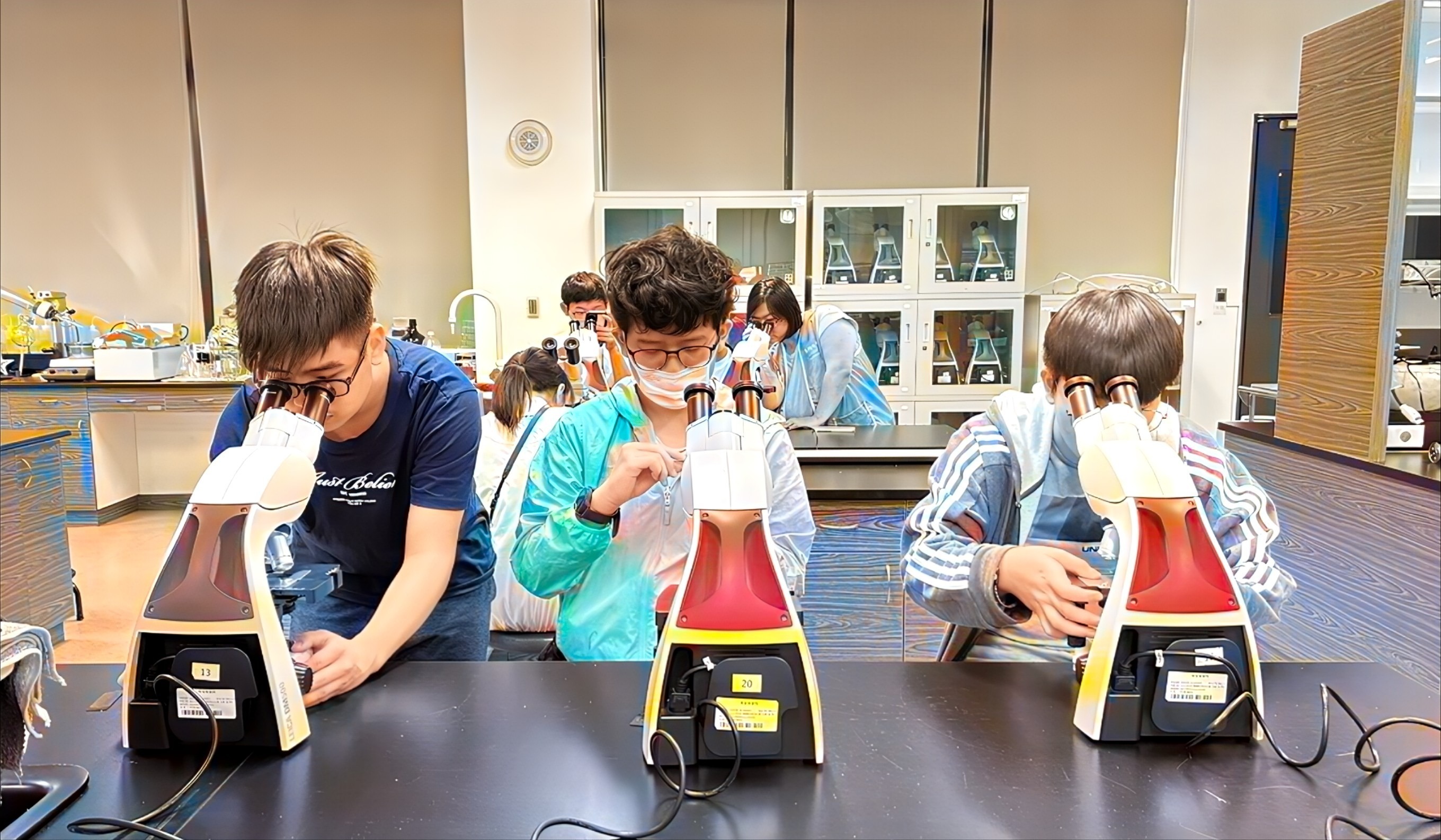 馬偕醫學大學眼底視網膜影像與人工智慧營隊 (新北教育局提供)