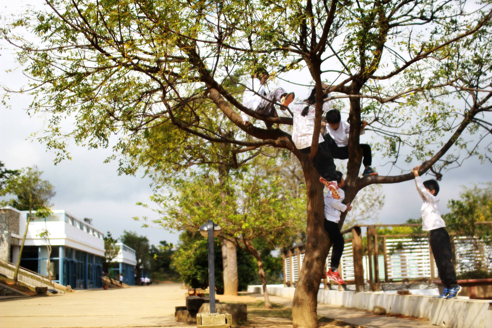【媽媽就是這裡，我就要這邊！─專訪諾瓦小學暨幼兒園許佩芬校長、謝乙華老師、家長胡桂琦】