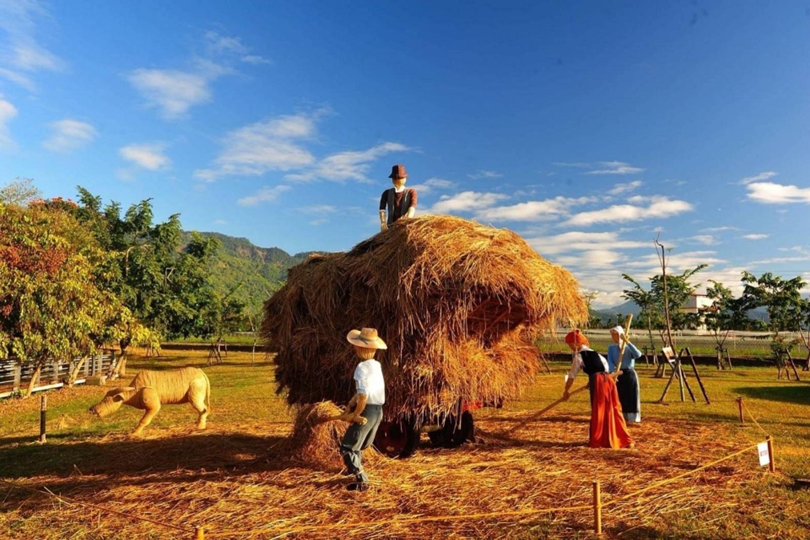 當行銷遇上土地