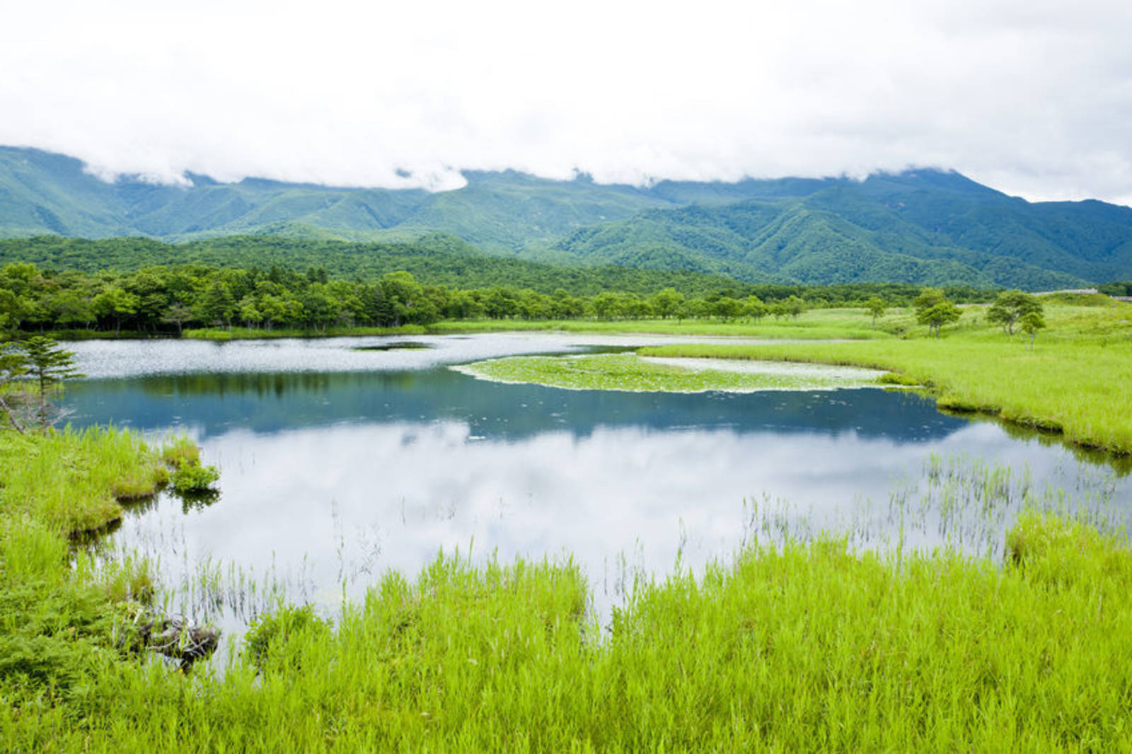 野生動物保護區-浮島濕地