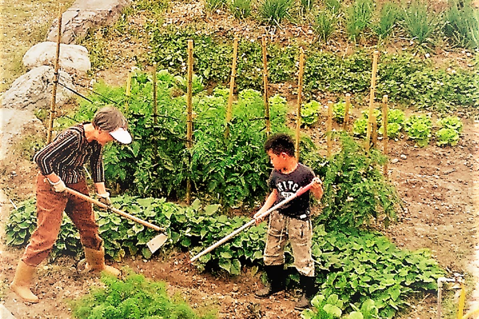 有好田地，不如有好子弟