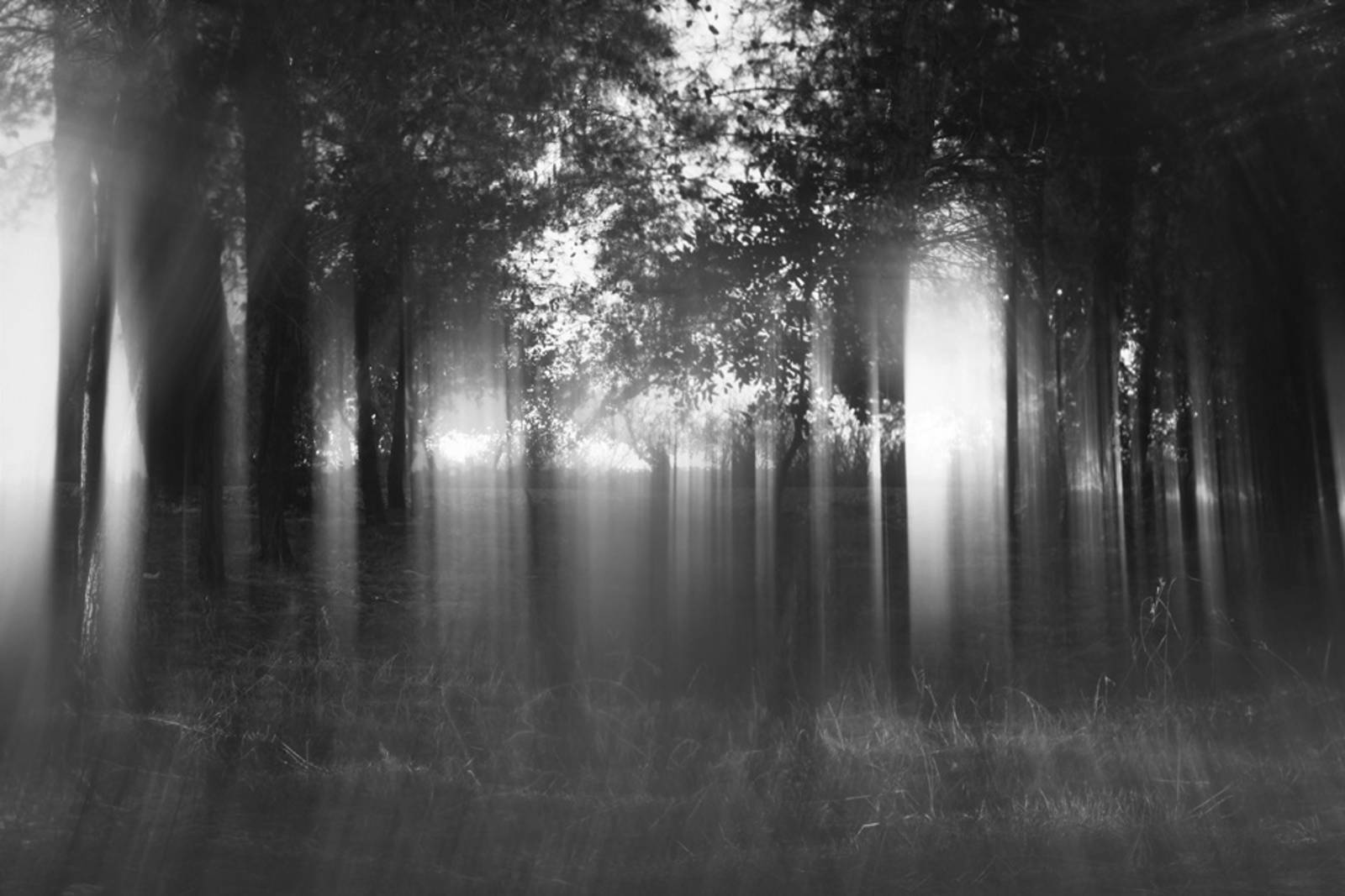 神秘筆意的創造者：詩人羅智成