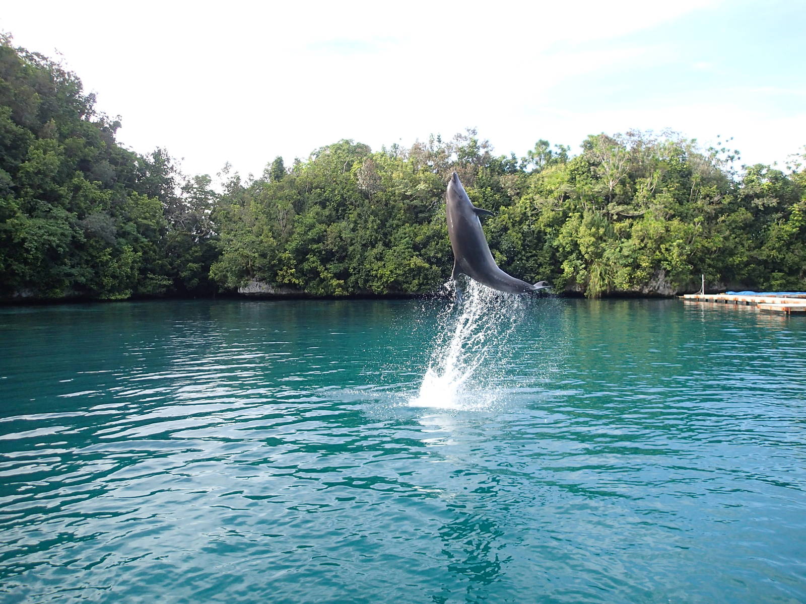 藍色經濟-海洋領域新境界