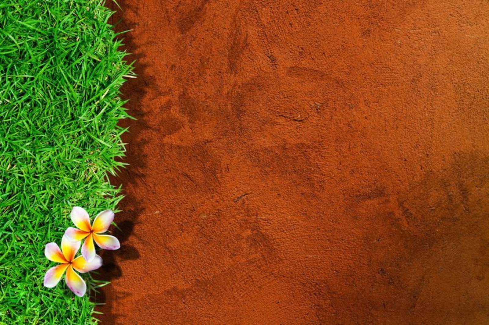 從「閨秀」到「國族」書寫-朱天心