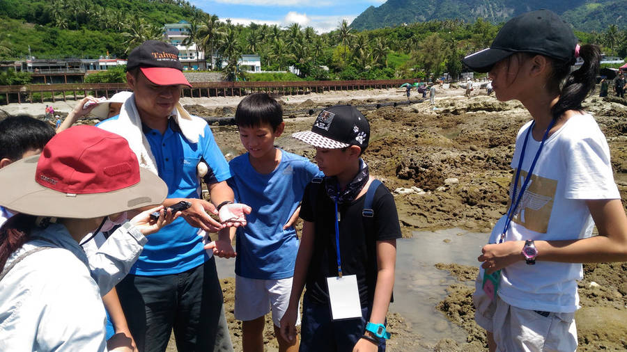 富山復魚區海草饅頭餵魚