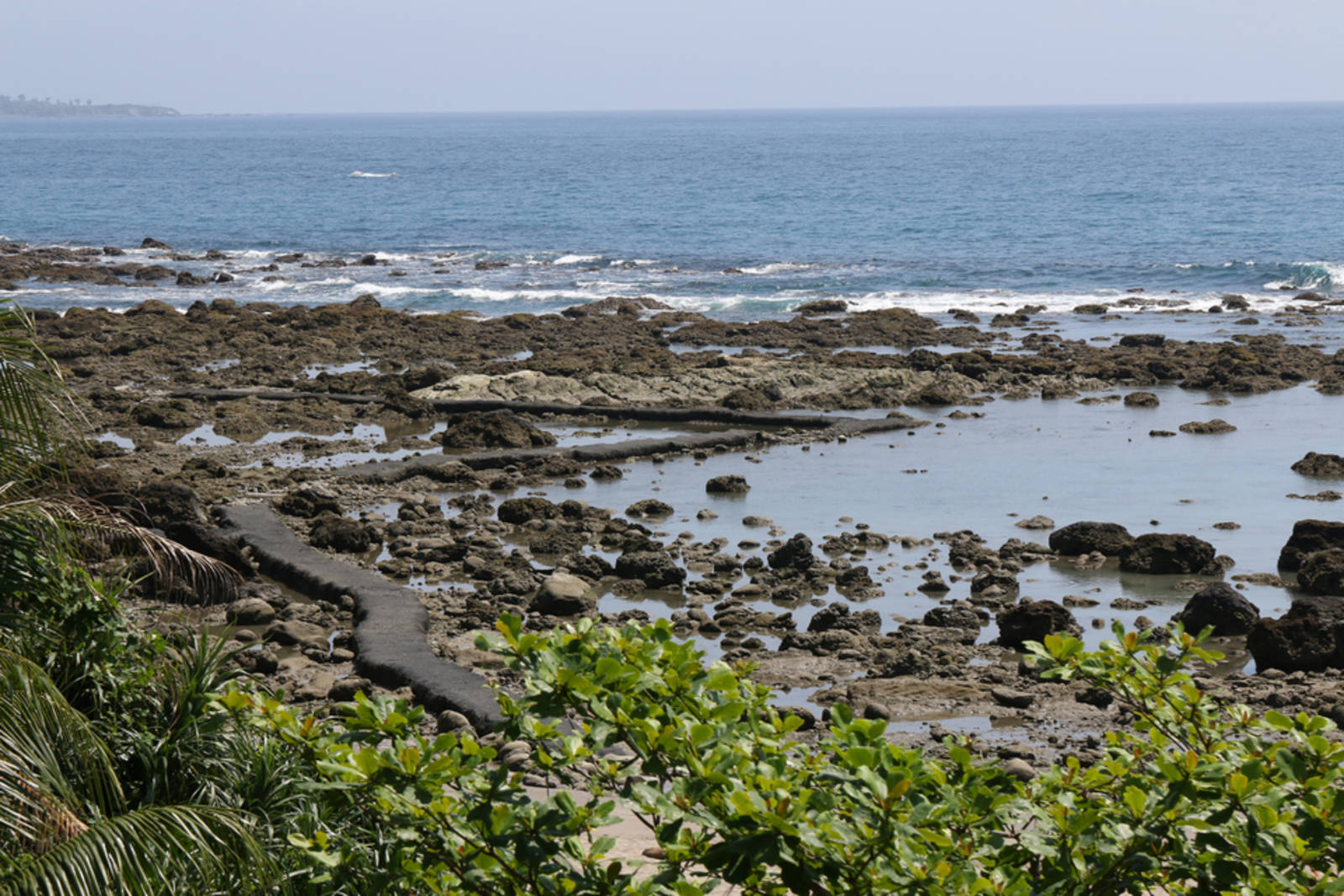 富山復魚區步道與浮潛