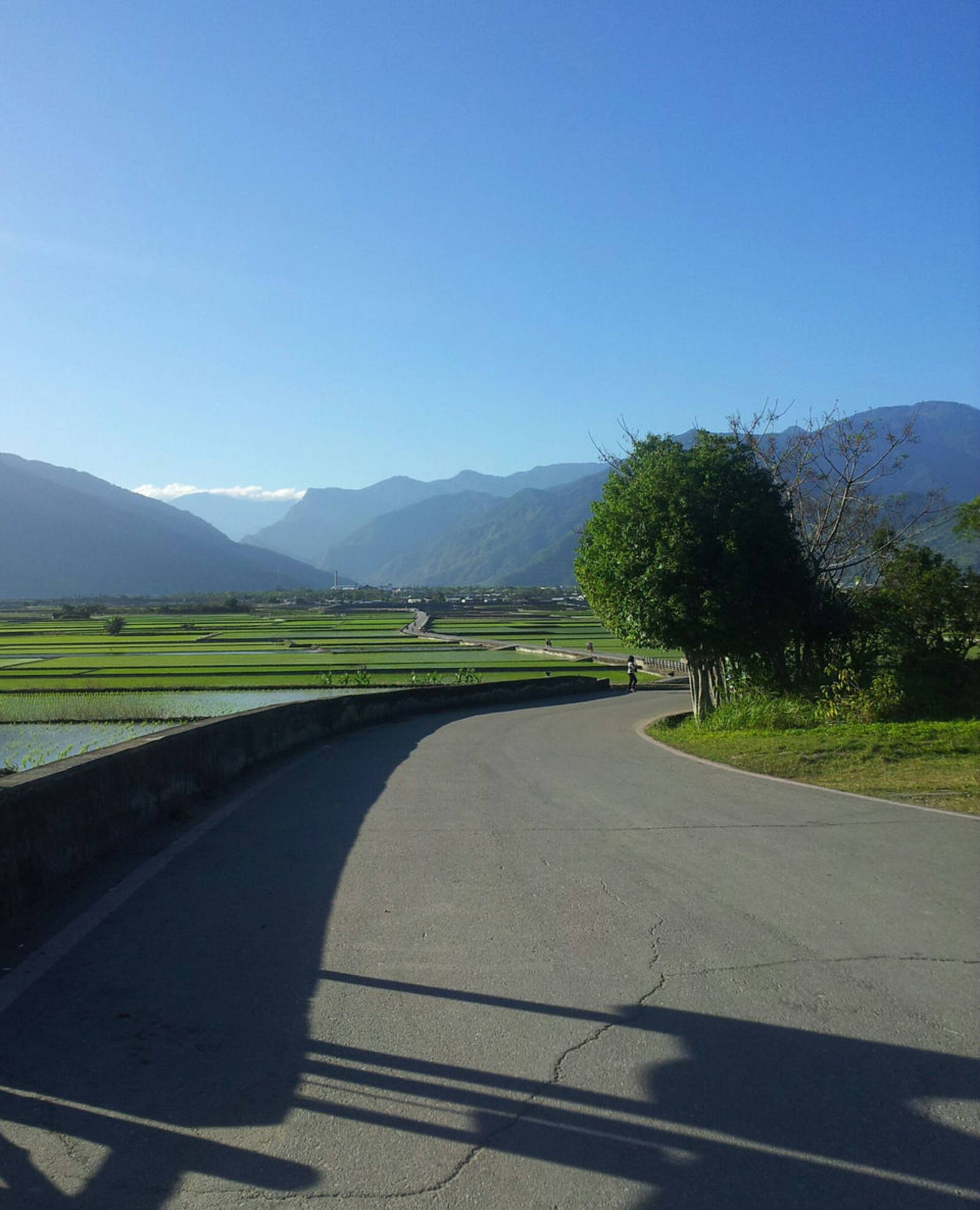 鄉民守護伯朗大道景觀