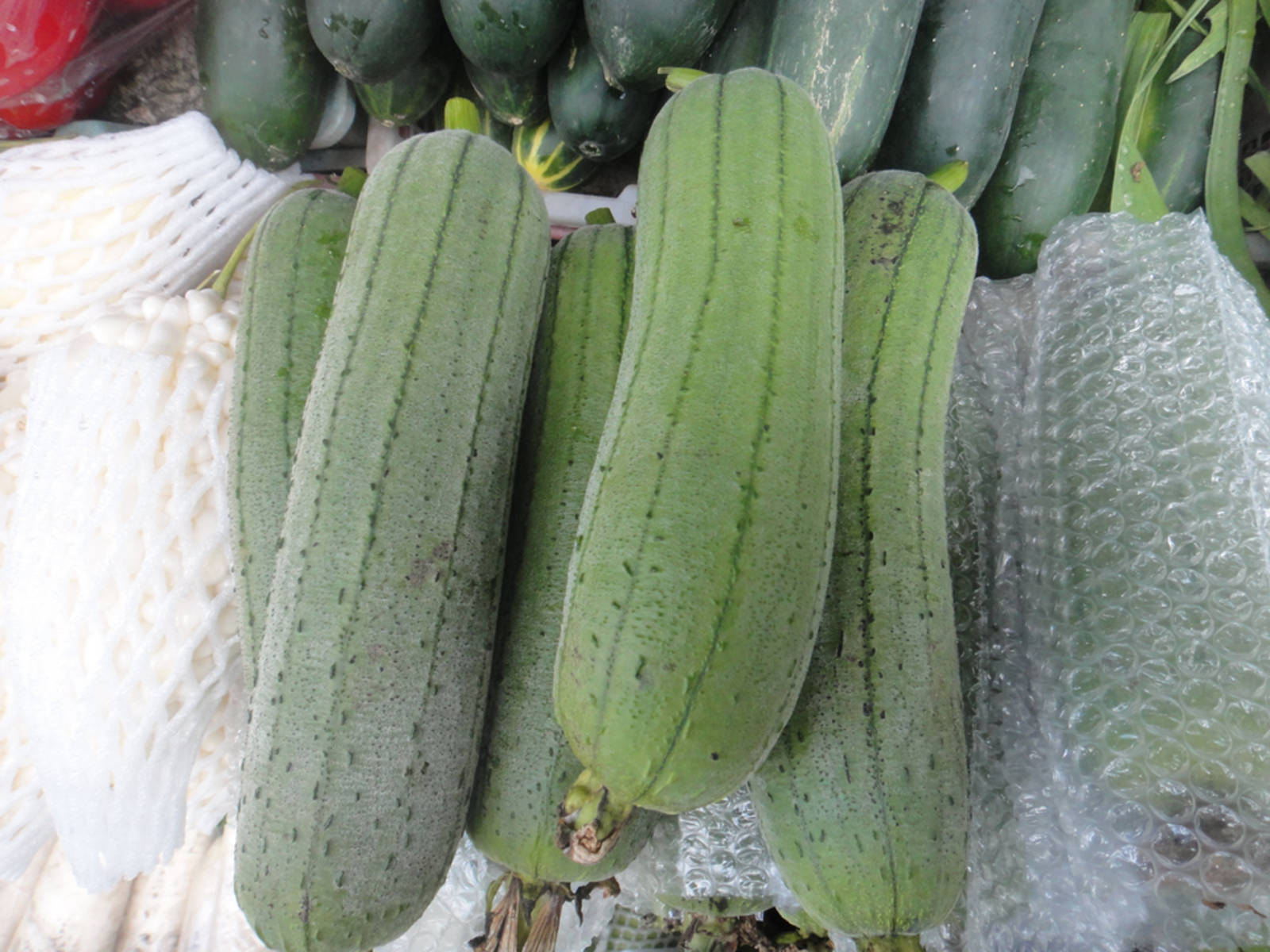 臺灣俗諺~澎湖菜瓜雜唸