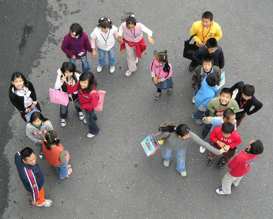 臺灣俗諺~龍交龍、鳳交鳳