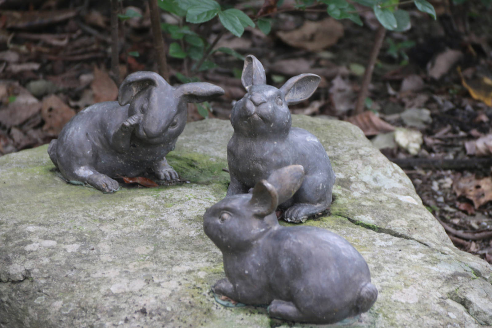 臺語敢有影無文字?