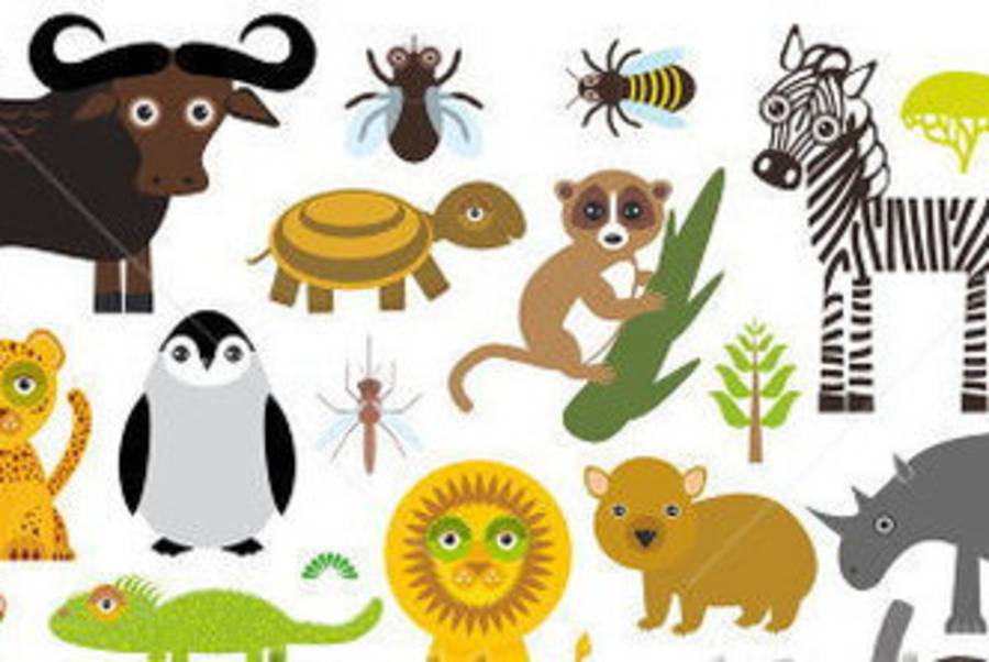 『企鵝、斑馬、河馬』的臺語如何說?