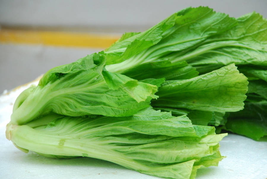 六月芥菜假有心&十二月芥菜有心